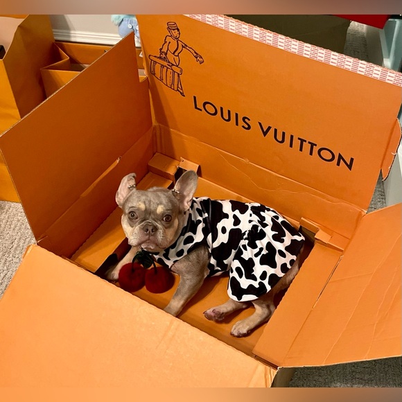 Zealous in all domains - Picture 4 of 16